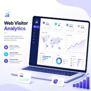 Web Visitor Analytics